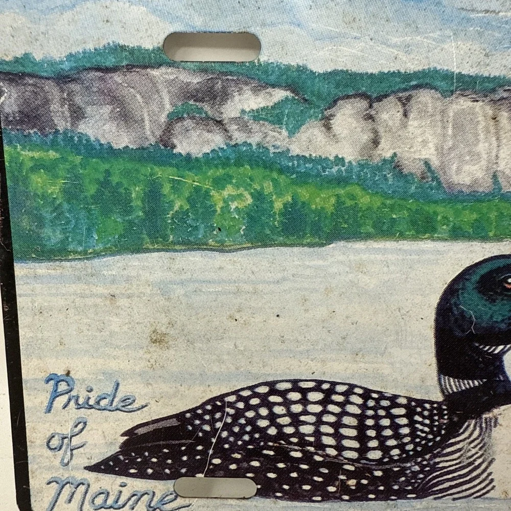 VTG 1994 Maine License Plate Mount Kineo Moosehead Lake Dale Thomas Loons